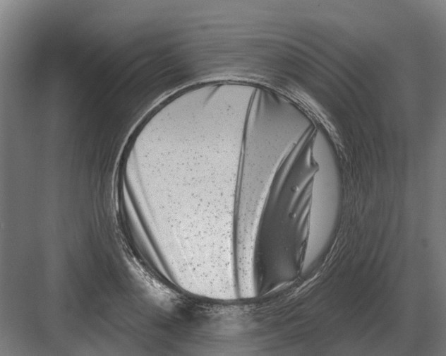 X0000082160892200702162231