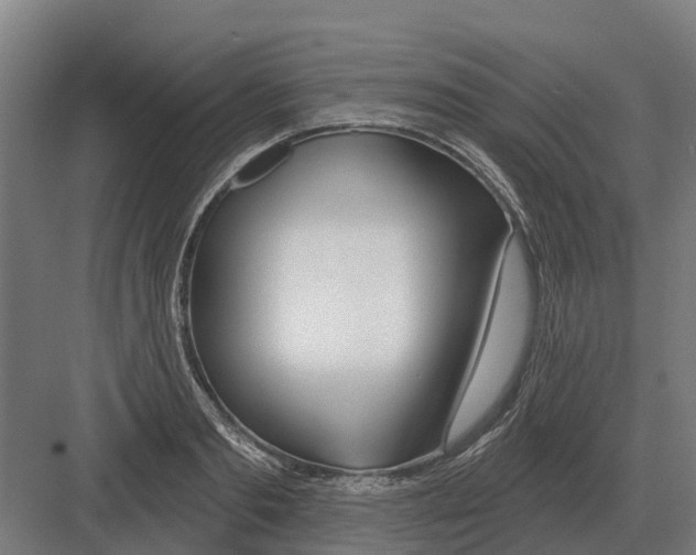 X0000082160893200702162231