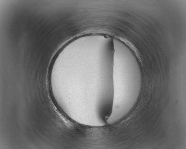 X0000082160894200702162231