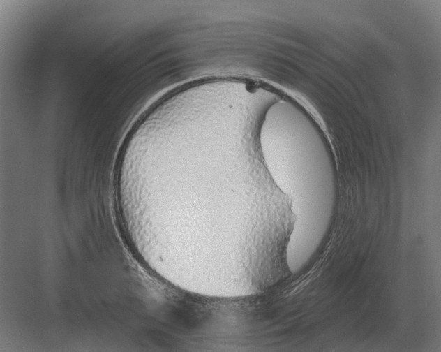 X0000082160895200702162231