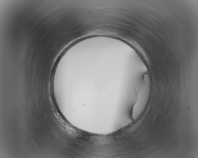 X0000082160896200702162231