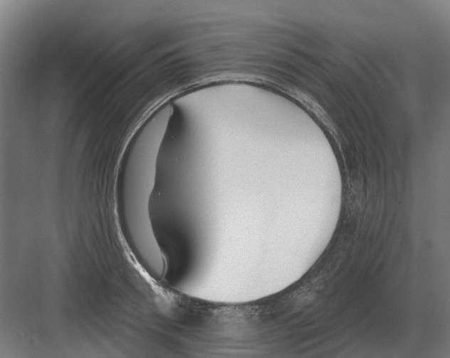 X0000082160898200702162231