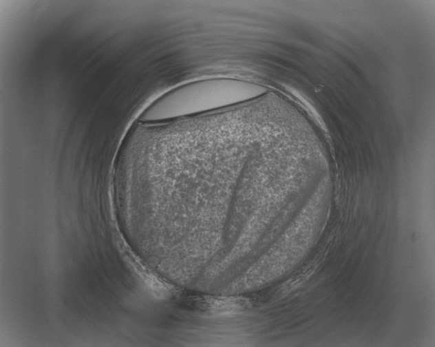 X0000082160899200702162231