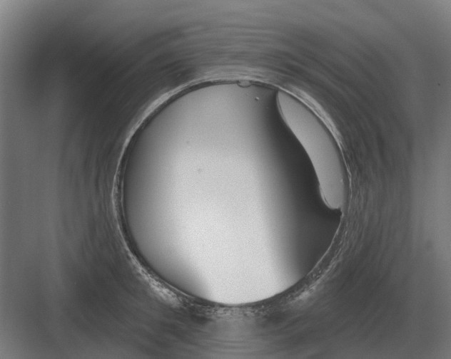 X0000082160901200702162231