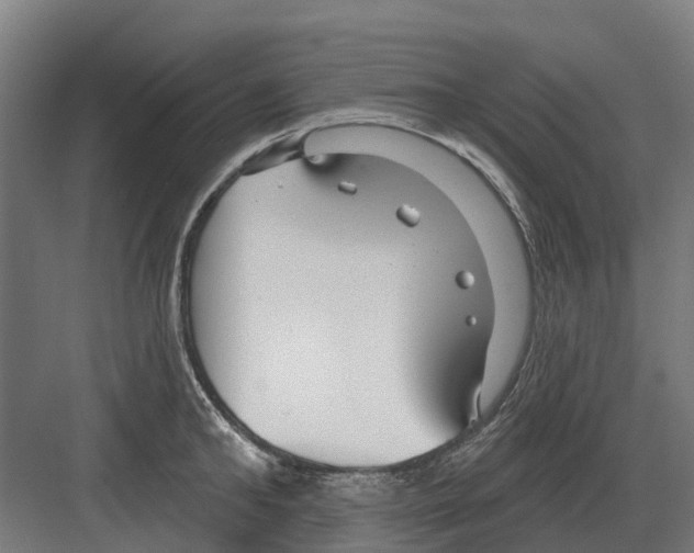 X0000082160902200702162231