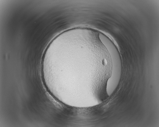 X0000082160903200702162231