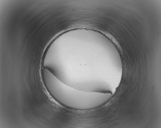 X0000082160904200702162231