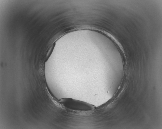 X0000082160905200702162231