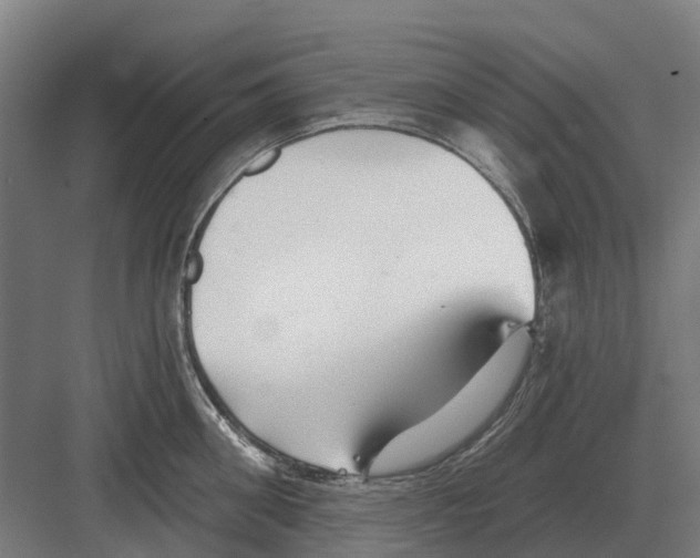 X0000082160906200702162231