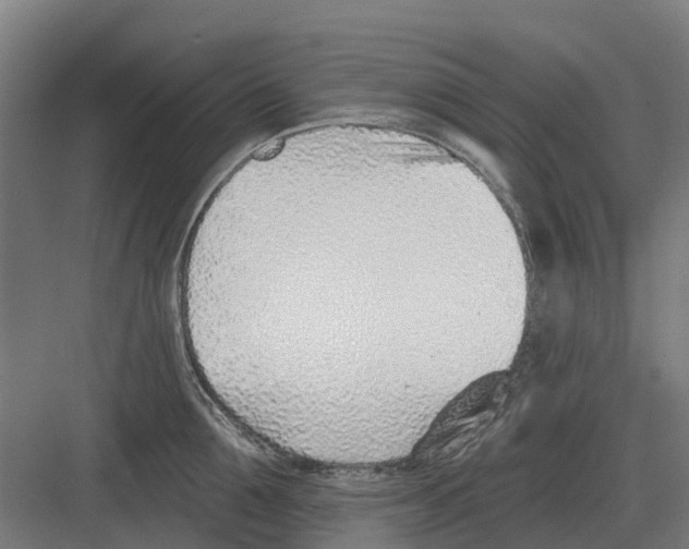 X0000082160907200702162231