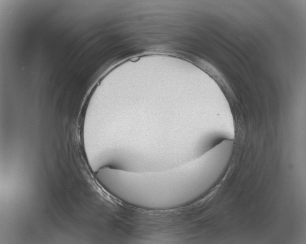 X0000082160908200702162231