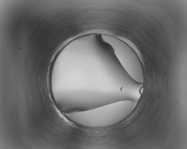 X0000082160910200702162231