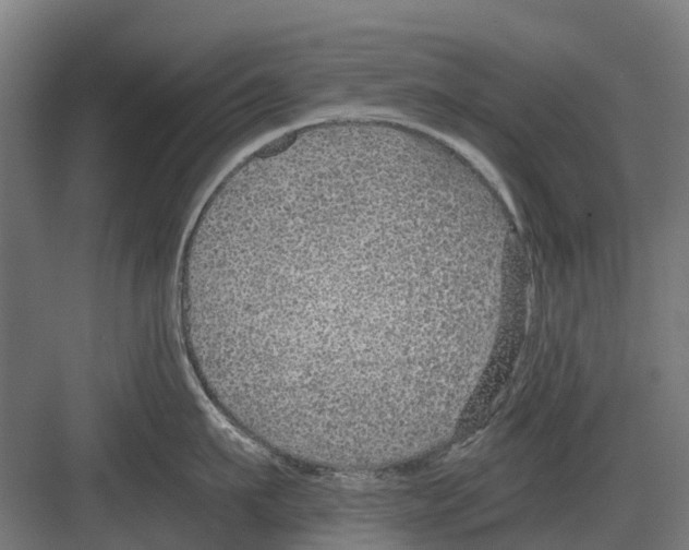 X0000082160911200702162231