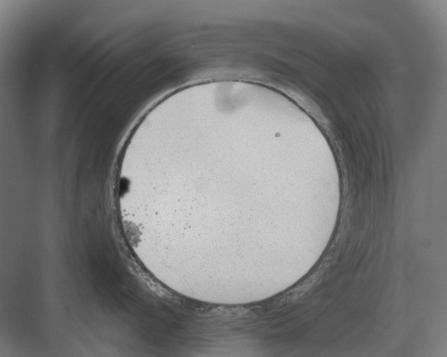 X0000082160912200702162231