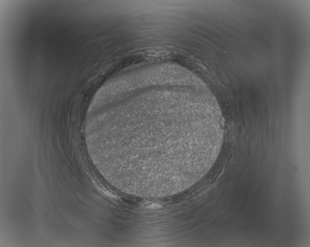 X0000082160913200702162230