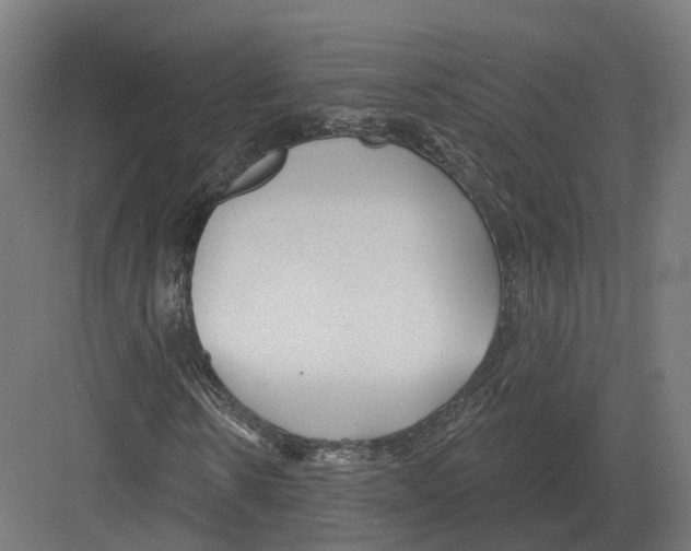 X0000082160914200702162230