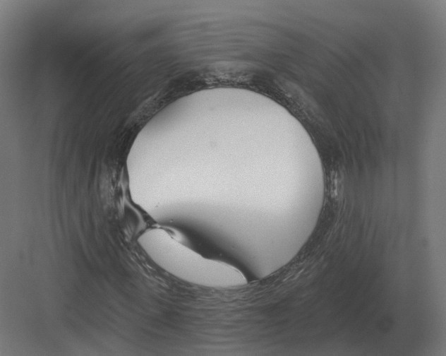 X0000082160915200702162230