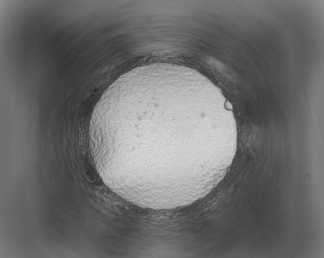 X0000082160917200702162230