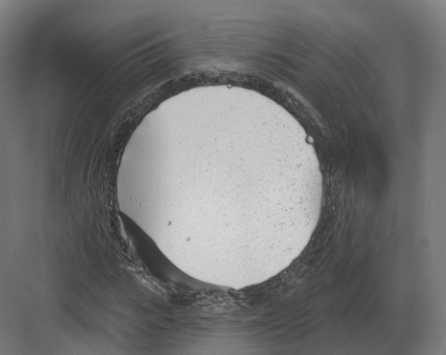 X0000082160919200702162230