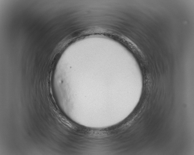 X0000082160921200702162230