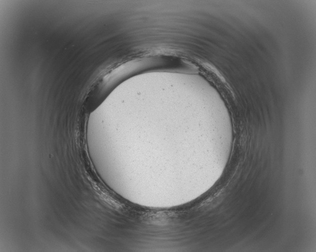 X0000082160922200702162230