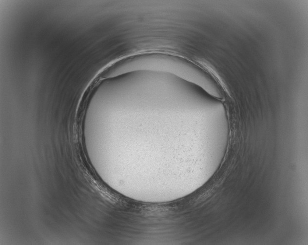 X0000082160924200702162230