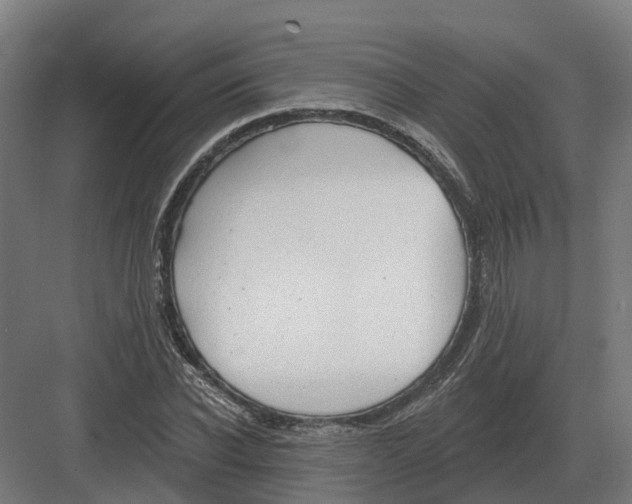 X0000082160926200702162230