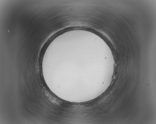 X0000082160927200702162230