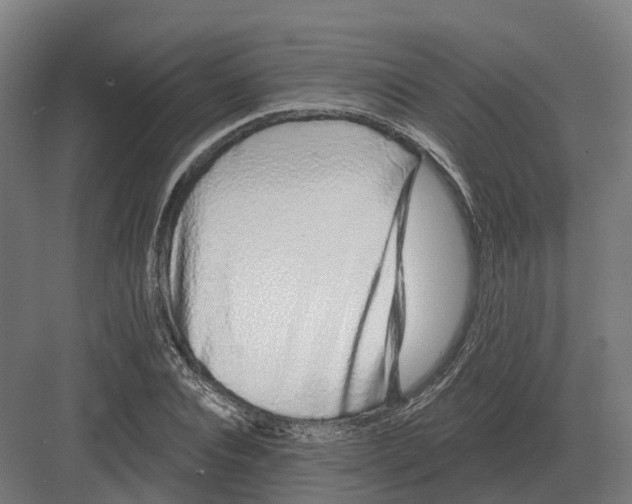 X0000082160928200702162230