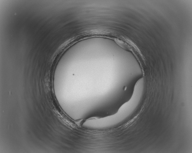 X0000082160930200702162230