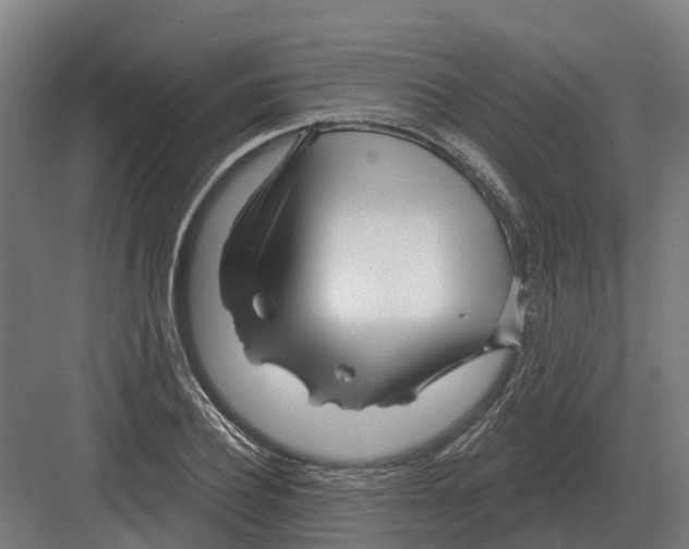 X0000082160932200702162230