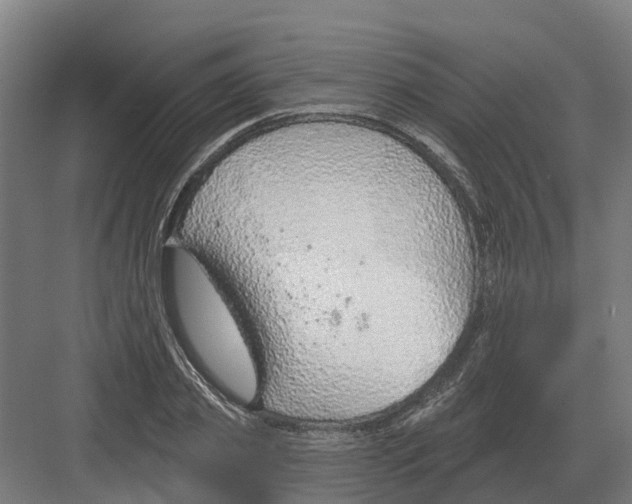 X0000082160933200702162230