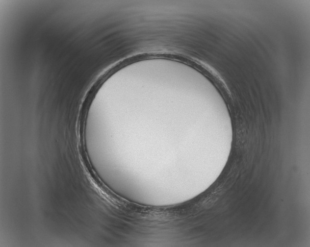 X0000082160935200702162231