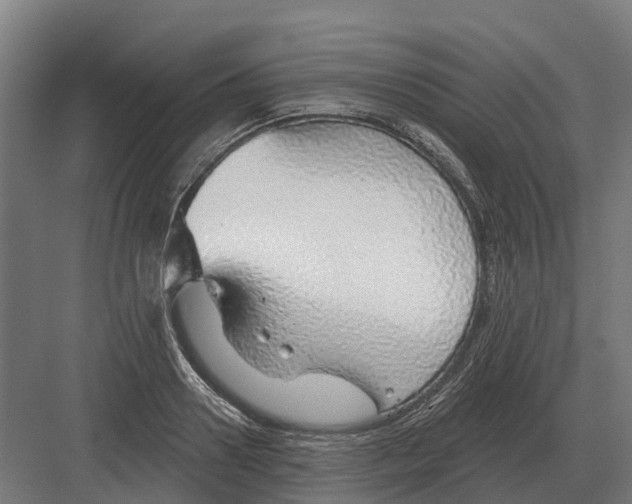 X0000082160938200702162231