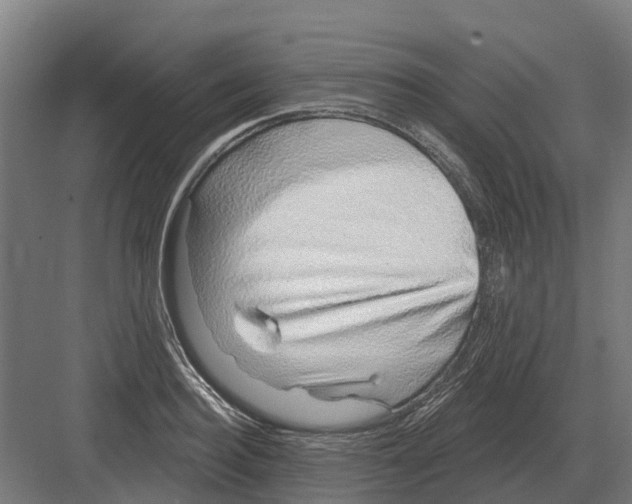 X0000082160940200702162231