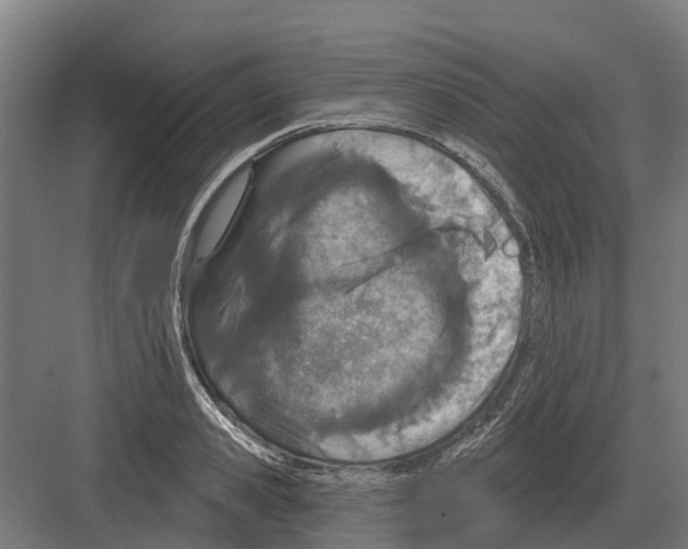 X0000082160941200702162231