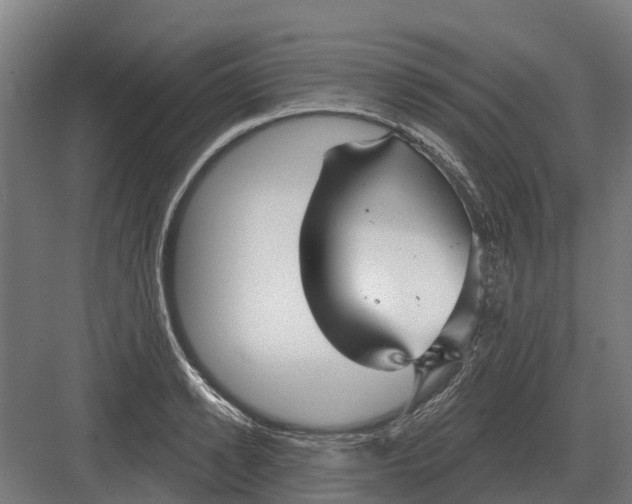 X0000082160942200702162231