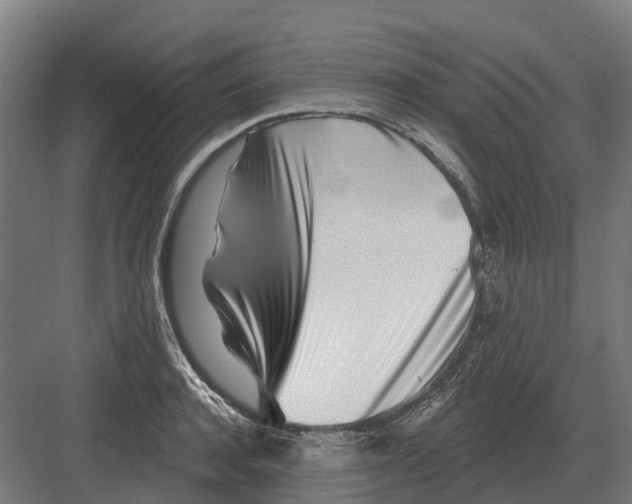 X0000082160944200702162231