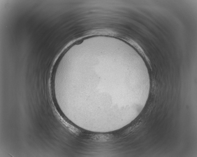 X0000082160947200702162231