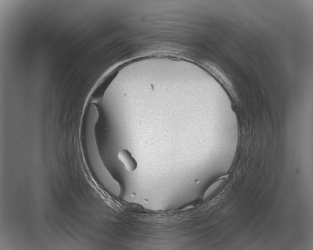 X0000082160948200702162231