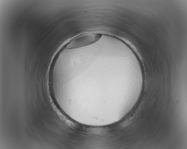 X0000082160949200702162231