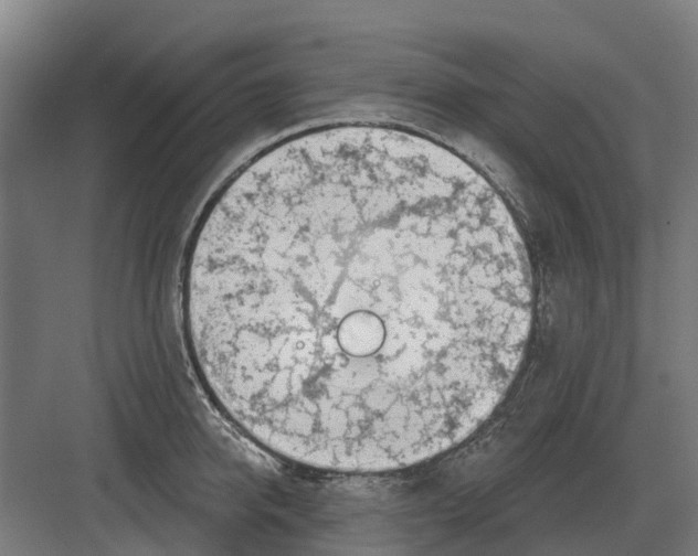 X0000082160950200702162231