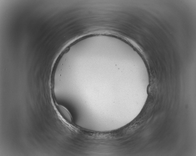 X0000082160951200702162231