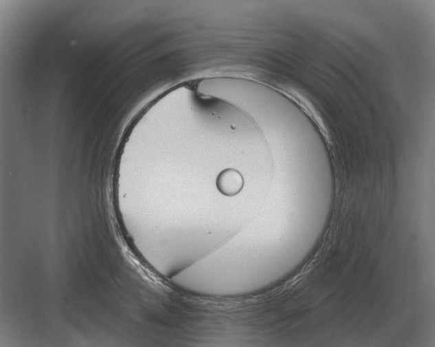 X0000082160952200702162231