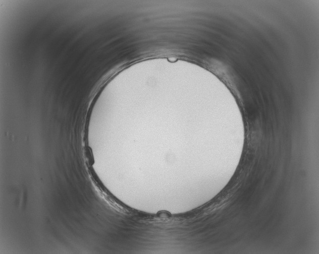 X0000082160954200702162231