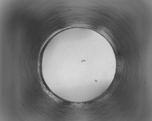 X0000082160955200702162231