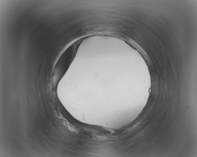 X0000082160956200702162231