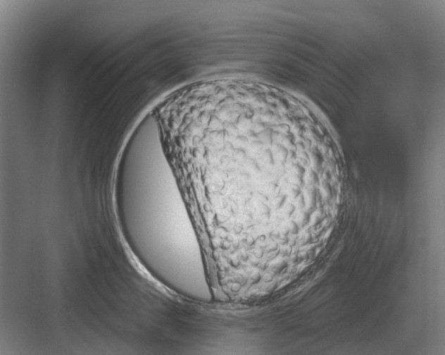 X0000082160957200702162231