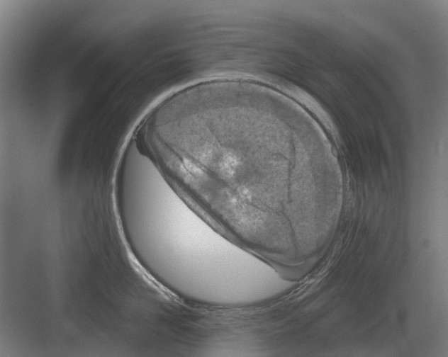 X0000082160958200702162231