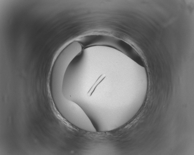 X0000082160960200702162231